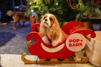 Cavalier Cafe Christmas - Cardiff image