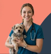 The VetPrac Nurse & Tech Online Conference image