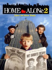 Home Alone 2: Lost in New York (1992) image