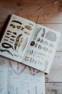 Introduction to Tracking Course - September 2026 image