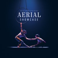 Aerial Showcase [All Ages] image