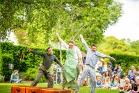 Wealden Festival image