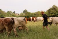 Transitioning Beyond Inputs in Agriculture image