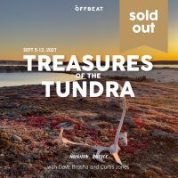 Treasures of the Tundra - Nunavik image