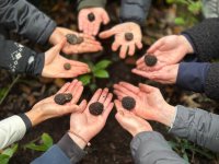 Truffle Hunting Experience Day (Peak Season) image