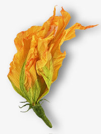 Paper Flower Making Workshop with Anneli Skaar image