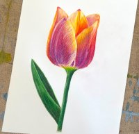 Drawing for the Terrified Beginner - In Person image