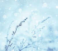 Familienkonzert: Vivaldi 4 Jahreszeiten "Winter" image