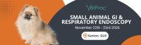 Small Animal GI & Respiratory Endoscopy image
