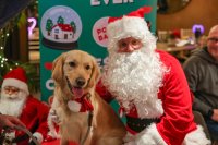 Golden Retriever Cafe Christmas - Milton Keynes image
