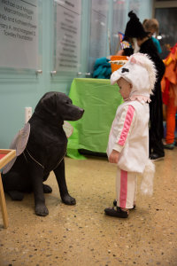 Little Paws Toddler Time--Special Halloween Program! image