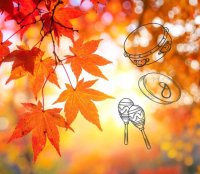 Familienkonzert: Vivaldi 4 Jahreszeiten "Herbst" image
