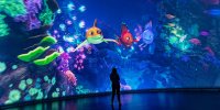 Legend of the Enchanted Reef image