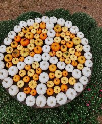 Junkstock: Fall 2026 Weekend 2 (Friday -Sunday) image
