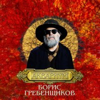 Boris Grebenshikov & Aquarium in Köln image