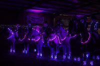 All-Steps Christmas Show 2026 - Matinee Performance image