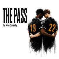 The Pass image
