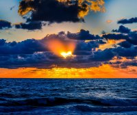 Online: Heart Nurturing Workshop for Summer image