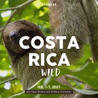 Costa Rica Wild image
