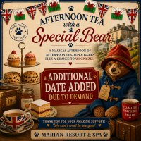 Afternoon Tea with a Special Bear - North Wales image