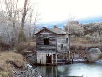 Dave's House of Clams (FREE) image
