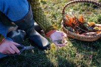Wine& Foraging image