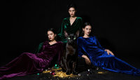 Velvet Rebellion · International Cat Show · Leatherhead, Surrey image
