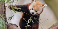 Junior Nature Photography Workshops image