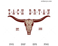 Tottenham Hotspur Stadium - Zach Bryan image
