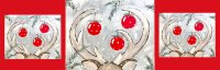 12/12 "Prancing Into Christmas" 7pm image