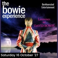 The Bowie Experience image