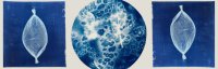 Cyanotype Workshop image