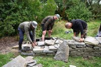 Community Training Day - Dry Stone Walling (CLDC) image