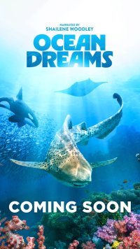 Shailene Woodley's OCEAN DREAMS image