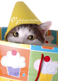 Party Animal Celebration image