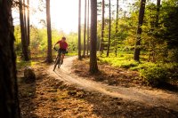 MTB träning image