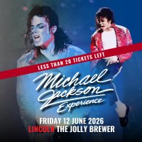 MICHAEL JACKSON EXPERIENCE image