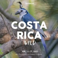 Costa Rica Wild - 2 image