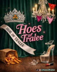 The Wild Geeze presents The Hoes of Tralee image