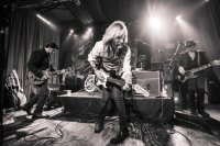 The Damn Torpedoes - A Tribute to Tom Petty and the Heartbreakers at The Far Out Lounge image