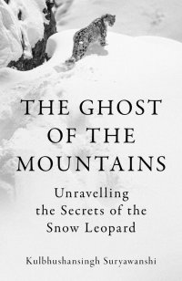 Unravelling the Secrets of the Snow Leopard image