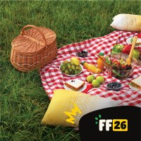 Froebel Lawn Picnic image