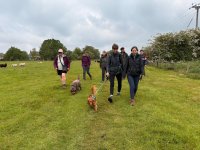 Castle Ashby Lakes Dog Pack Walk — 3.5 Miles image