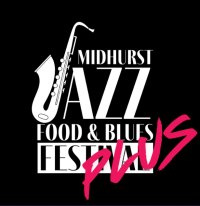 Weekend Festival Pass - Plus! image