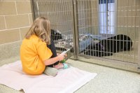Rescue Reading image