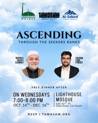 Ascending Through the Seekers Ranks image