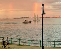 Frost Call Meetup at Castle Island image