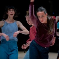 Dance workshop: The Joy of Movement with Scottish Dance Theatre image