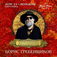 Boris Grebenshikov Aquarium in Belgrade image