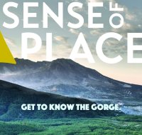 Sense of Place: Talking Trees: Family & Timber with Brothers Phil & Steve Rigdon image